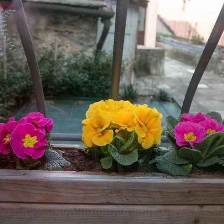 Holiday home I Scalitt Lake Como Holiday For Family Carate Urio